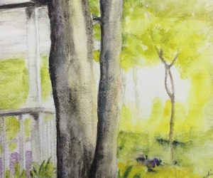 5 Light on the Cottage